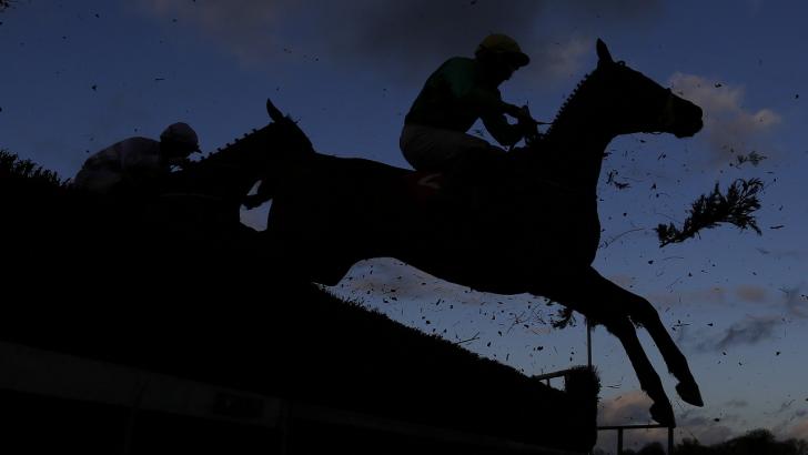 Horse jumping a fence at Fairyhouse